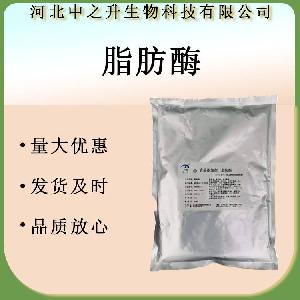 供应食品级 脂肪酶 10万酶活力 酶制剂