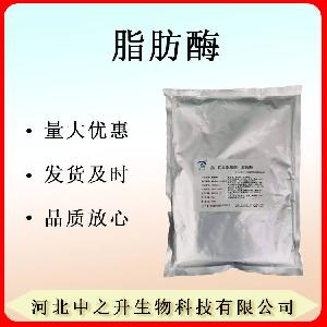 现货供应脂肪酶 食品级10万酶制剂食品添加剂 1kg起订购