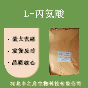 L-丙氨酸 食品级氨基酸 丙氨酸 欢迎选购