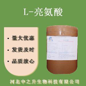 L-亮氨酸 食品级亮氨酸 氨基酸 欢迎订购