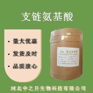 支链氨基酸 食品级支链氨基酸BCAA 食用营养强化剂 欢迎选购