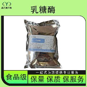 乳糖酶 长期现货供应 食品级酶制剂