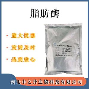 脂肪酶食品级酶制剂 现货供应 量大价优 脂肪酶