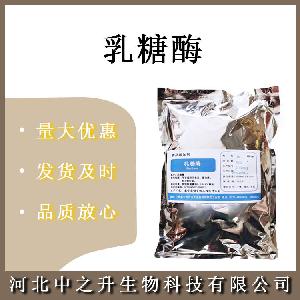 食品级乳糖酶 食品级乳糖酶 β-半乳糖苷酶 1万酶活力 欢迎订购