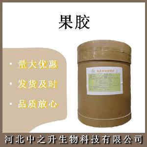 食品果胶 食品级低酯果胶 果胶粉 增稠乳化 欢迎订购