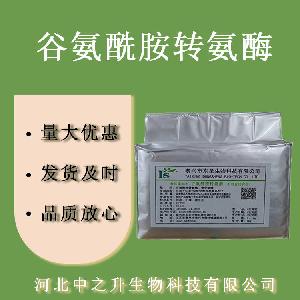 谷氨酰胺转氨酶 食品级TG酶 肉制品豆制品用酶制剂 欢迎选购
