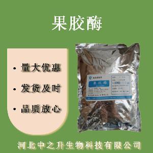 果胶酶 食品级果胶酶 自制葡萄酒 果汁酿酒食品酶制 剂欢迎选