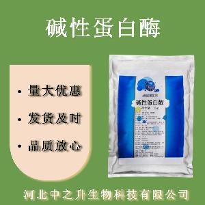 碱性蛋白酶 食品级碱性蛋白酶食品酶制剂欢迎选购