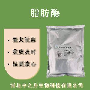 脂肪酶食品级脂肪酶 5万酶活 欢迎选购