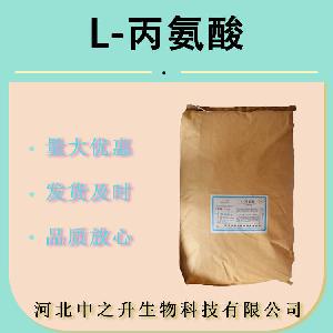 现货供应 食品级 丙氨酸 L-丙氨酸 食用氨基酸 营养增补