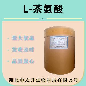现货供应 食品级 茶氨酸 L-茶氨酸 99% 营养强化剂绿茶提取