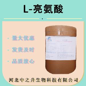 现货供应食品用L-亮氨酸食品级氨基酸营养强化剂 亮氨酸