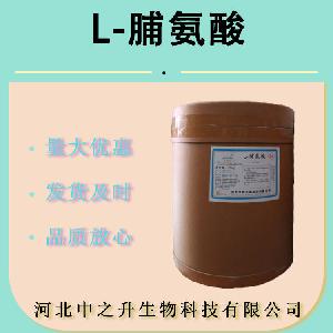 现货供应 食品级 L-脯氨酸 食用氨基酸 含量99%食品添加剂