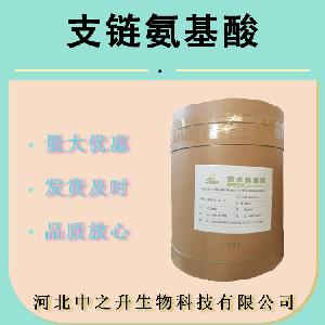 现货 支链氨基酸2:1:1 支链氨基酸粉速溶 食品级 支链氨基酸