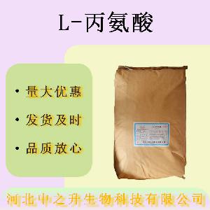 L-丙氨酸食品级营养强化剂增味剂 面包饮料 L-丙氨酸