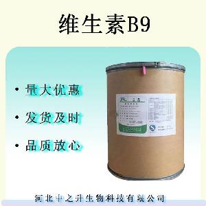 叶酸维生素B9 食品级营养强化剂维生素补充剂叶酸
