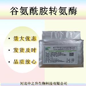 批发供应 高效食品级 谷氨酰胺转氨酶 高活力谷氨酰胺转氨酶