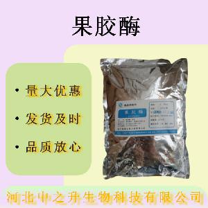 现货果胶酶 食品级酶制剂 果蔬汁饮料澄清剂量大价优