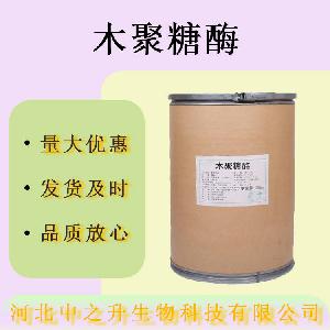 现货木聚糖酶食品级酶制剂1万u/g木聚糖酶量大价优