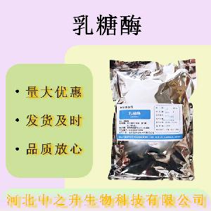 现货批发乳糖酶食品级酶制剂β-半乳糖苷酶量大价优