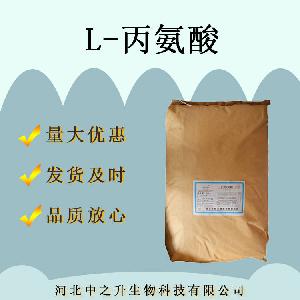 L-丙氨酸 食品级丙氨酸 食用氨基酸营养增补剂 欢迎订购