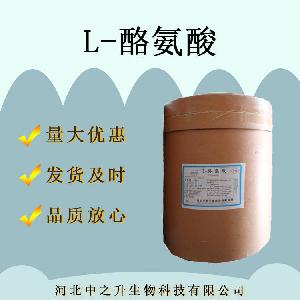 现货华阳L-酪氨酸 食品级芳香族氨基酸99% 营养强化剂 酪氨酸