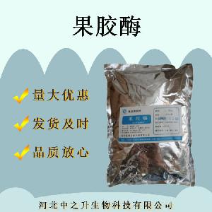 果胶酶食品级食用酶制剂酶制剂果胶酶