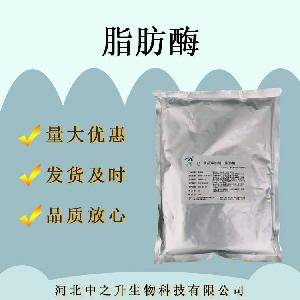 脂肪酶食品级食用酶制剂酶制剂脂肪酶