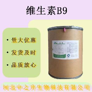 现货批发维生素B9食品级营养强化剂维生素B9量大价优