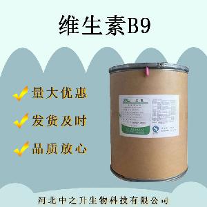 食品级叶酸现货批发 维生素B9 含量99% 营养强化剂VB9食品用
