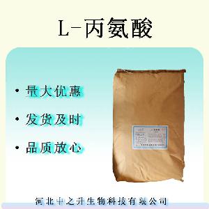 丙氨酸 食品级营养强化剂 华阳丙氨酸