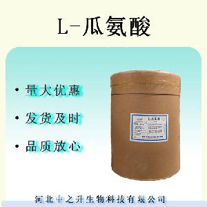 L-瓜氨酸 食品级营养强化剂 华阳瓜氨酸