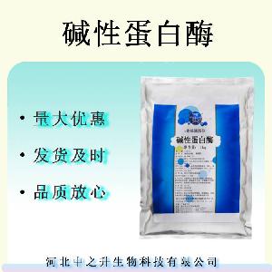 碱性蛋白酶碱性蛋白酶 酶制剂一公斤装