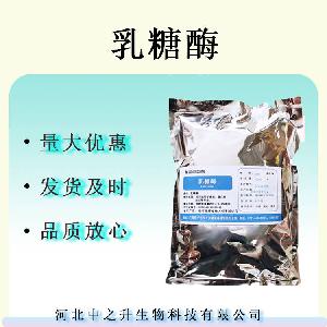 乳糖酶 食品级酶制剂β-半乳糖苷酶