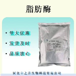 脂肪酶 食品级酶制剂 脂肪酶100000u/g