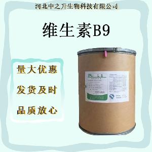 食品级叶酸现货批发 维生素B9 含量99% 营养强化剂