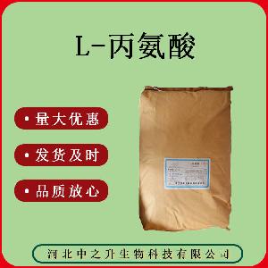 常年食品级 L-丙氨酸 欢迎来电咨询质量保证量大可议价