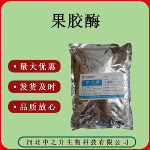 果胶酶食品级酶制剂1Kg/袋质量保证果胶酶