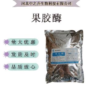 现货供应果胶酶 食品级自制葡萄酒 果汁酿酒
