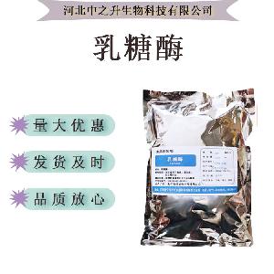 现货供应 乳糖酶 食品级 β-半乳糖苷酶 可用于食品蛋白添加