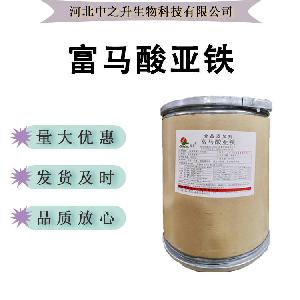 现货供应 富马酸亚铁 食品级营养强化剂 矿物质铁元素补充剂