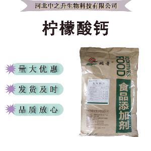 现货供应 柠檬酸钙 食品级 营养强化剂 枸橼酸钙 钙元素 欢迎订购