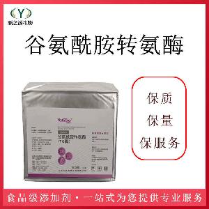 TG谷氨酰胺转氨酶 食品级 生物酵素厂家