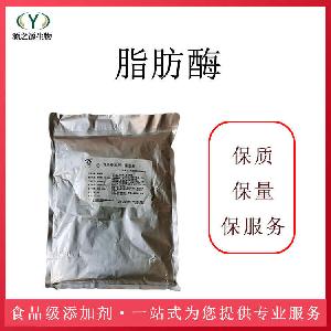 脂肪酶厂家