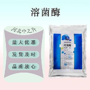 现货供应 食品级 溶菌酶10万u/g 酶制剂 溶菌酶 食品级 量大从优