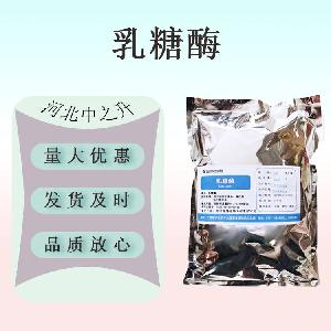 现货供应 食品级 乳糖酶1万u/g 酶制剂 食品级 乳糖酶 量大从优