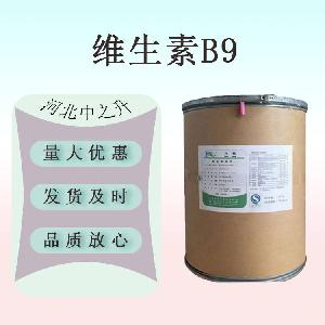 现货供应食品级 维生素B9 叶酸 营养强化剂维生素B9维生素原料VB9