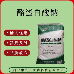 食品级 酪蛋白酸钠 质量保证 20kg/袋 酪蛋白酸钠
