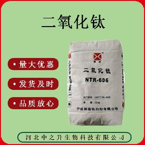 现货供应食品级二氧化钛 500/袋 食品级色素 二氧化钛