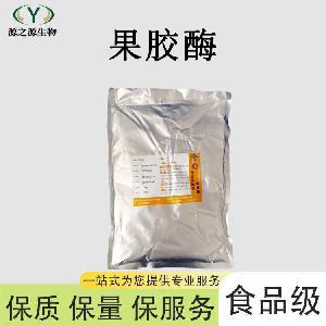 食品添加剂果胶酶